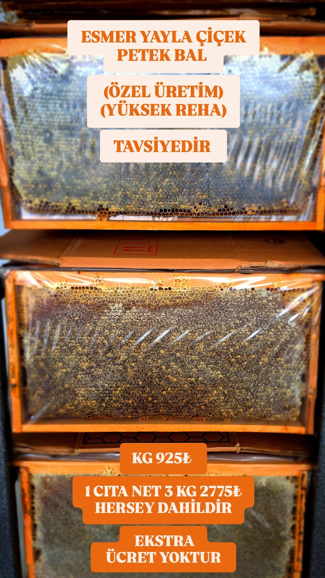 2026/09/1285042.jpg YAYLA ÇİÇEK PETEK BAL(3 KG BÜTÜN ÇITA) - Görsel 1